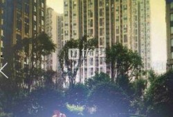 绿洲华府爆料最新消息,揭秘神秘项目背后的真相