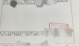 陈岚最新爆料,揭秘娱乐圈惊人内幕！